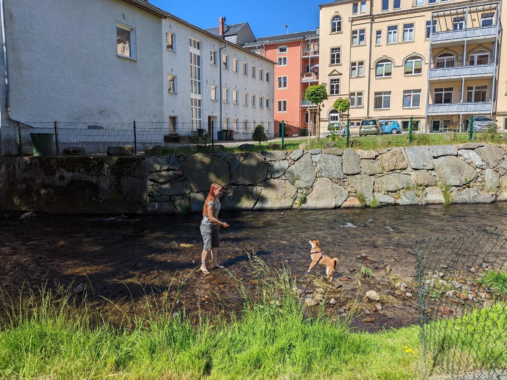 Hw4B - Urlaubsmagie - Zentral Mit Gemeinschaftsgarten, -Pool, -Sauna & Whirlpool Sebnitz Luaran gambar