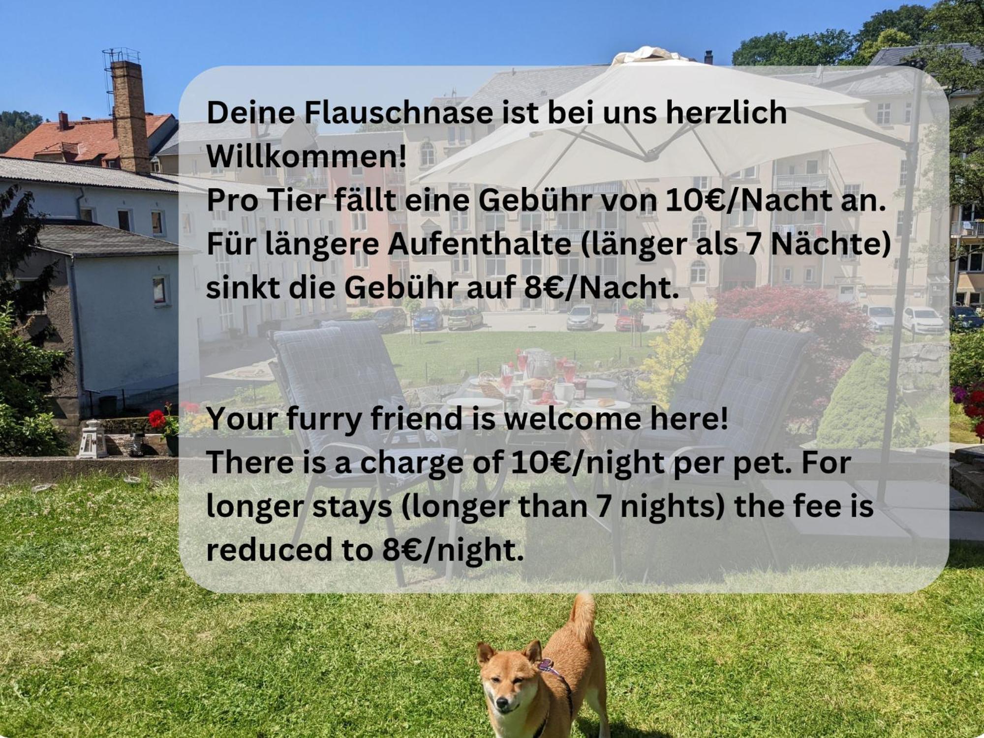Hw4B - Urlaubsmagie - Zentral Mit Gemeinschaftsgarten, -Pool, -Sauna & Whirlpool Sebnitz Luaran gambar